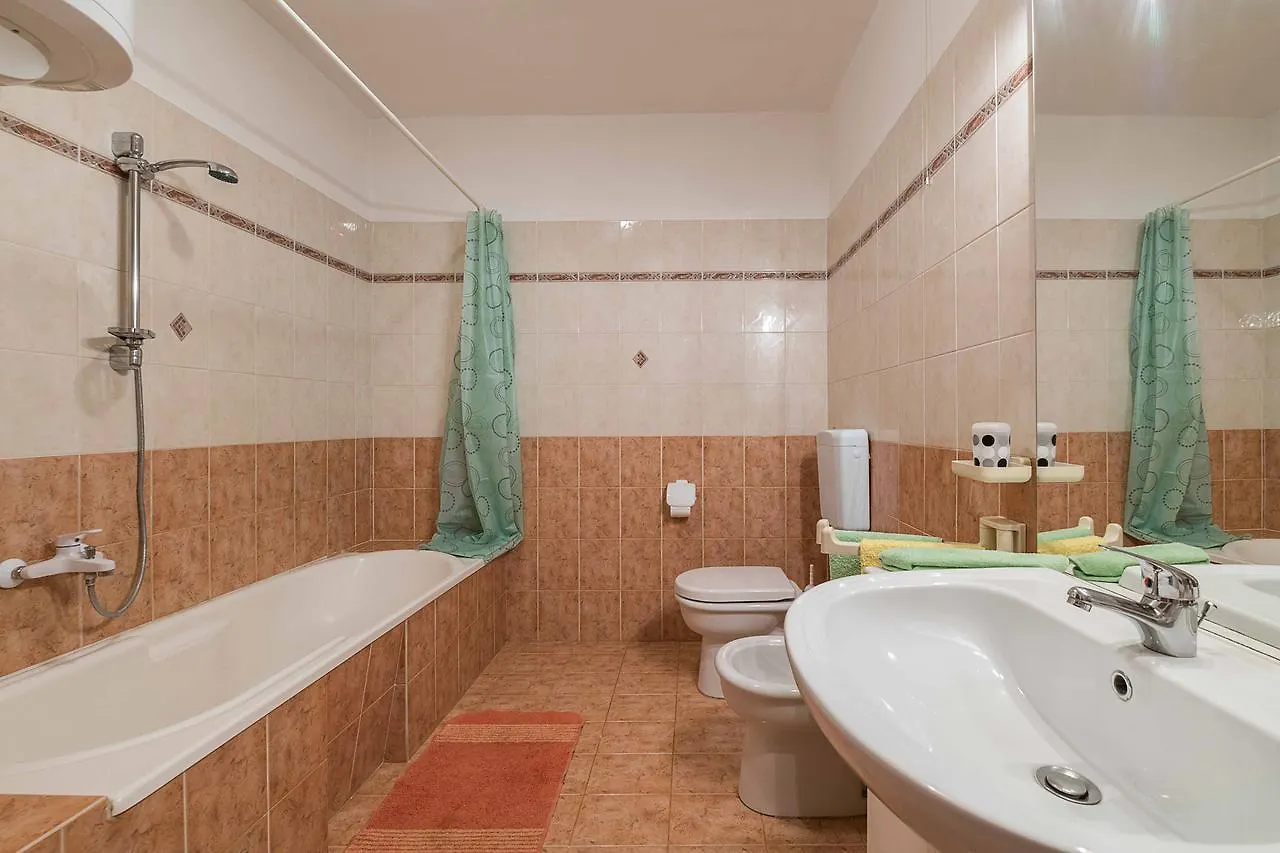 Apartment Dendy Pula 0*,